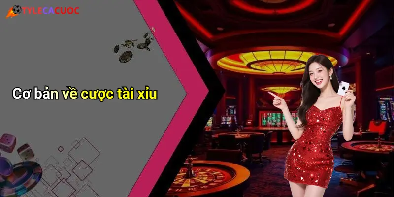 Cơ bản về cược tài xỉu