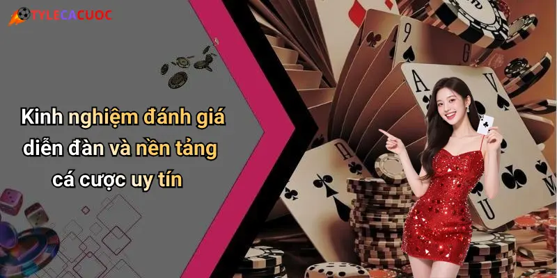 Kinh nghiệm đánh giá diễn đàn và nền tảng cá cược uy tín