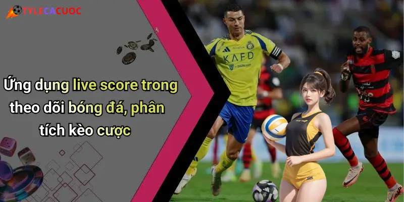 Live Score: Cập Nhật Tỷ Số, Nhận Định Kèo Giải Trí Mỗi Trận Đấu 47 Ứng dụng live score trong theo dõi bóng đá, phân tích kèo cược